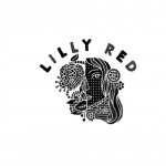 lilly red k6 marketing client